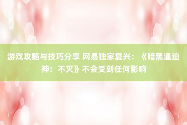 游戏攻略与技巧分享 网易独家复兴：《暗黑逼迫神：不灭》不会受到任何影响