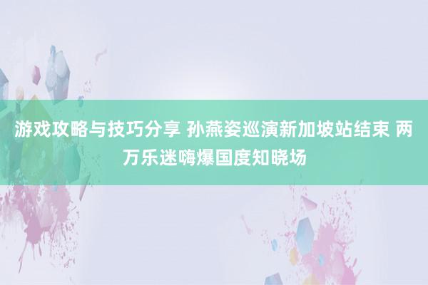 游戏攻略与技巧分享 孙燕姿巡演新加坡站结束 两万乐迷嗨爆国度知晓场