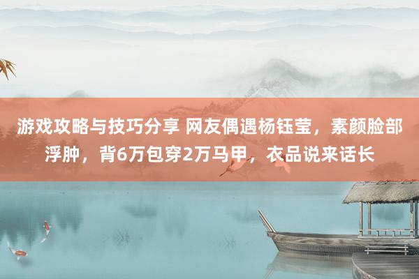 游戏攻略与技巧分享 网友偶遇杨钰莹，素颜脸部浮肿，背6万包穿2万马甲，衣品说来话长