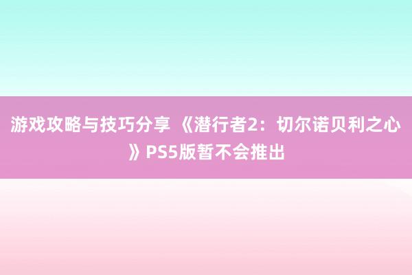 游戏攻略与技巧分享 《潜行者2：切尔诺贝利之心》PS5版暂不会推出