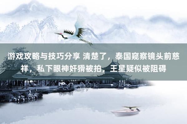 游戏攻略与技巧分享 清楚了，泰国窥察镜头前慈祥，私下眼神奸猾被拍，王星疑似被阻碍