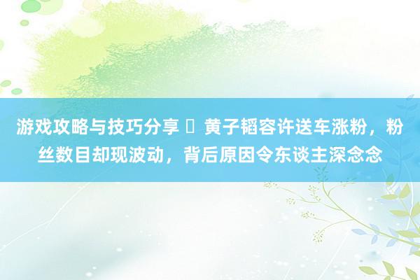 游戏攻略与技巧分享 ‌黄子韬容许送车涨粉，粉丝数目却现波动，背后原因令东谈主深念念