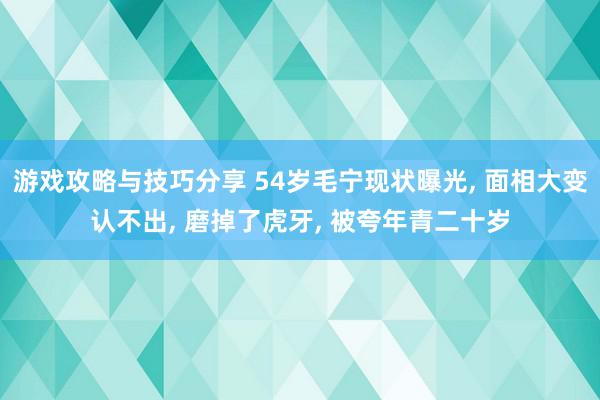 游戏攻略与技巧分享 54岁毛宁现状曝光, 面相大变认不出, 磨掉了虎牙, 被夸年青二十岁