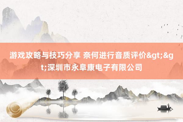 游戏攻略与技巧分享 奈何进行音质评价>>深圳市永阜康电子有限公司