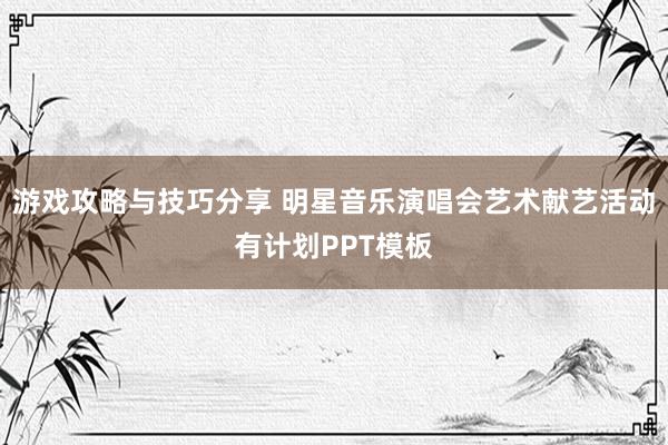 游戏攻略与技巧分享 明星音乐演唱会艺术献艺活动有计划PPT模板