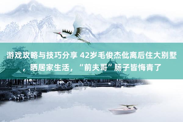 游戏攻略与技巧分享 42岁毛俊杰仳离后住大别墅，晒居家生活，“前夫哥”肠子皆悔青了