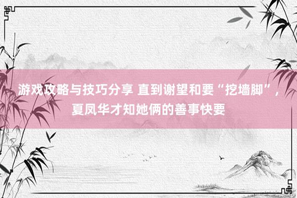 游戏攻略与技巧分享 直到谢望和要“挖墙脚”，夏凤华才知她俩的善事快要